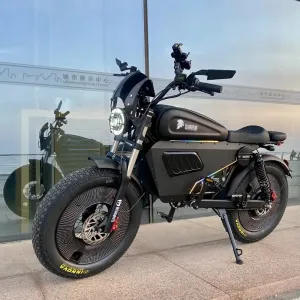 3000W Electric Mountain Bike 1500W Motor with Off-Road Fat Tire Ebike 30AH 60AH Removable Lithium Battery