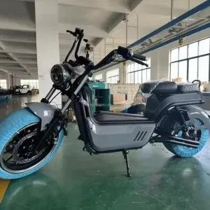 For Luqi HL5.0 4000W 60V50Ah 2-Wheel Electric Citycoco with Big Battery Long Range 80km/h Max Speed for Adults