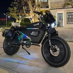 Fashion 2025 Owayebike Made in High-end Bike 60AH Battery 140km Long Range 20*5 Inch Adult Black Wor