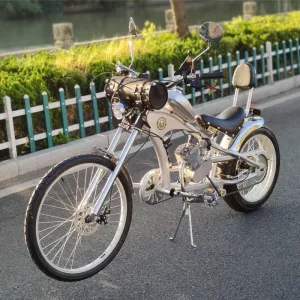 48CC Motorbike Chopper Bike Stylish Vintage Look Engined Bike Loud Noise Bike Vehicle Tank Separated 24inch Front Wheel