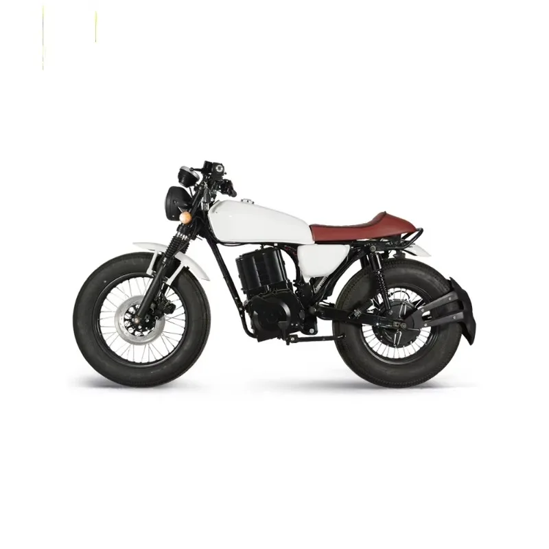 Stylish Custom Motorcycle With Unique Design