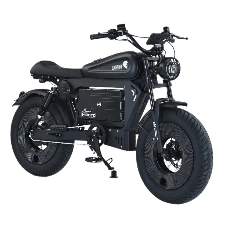 Stylish Black Electric Bike With Fat Tires